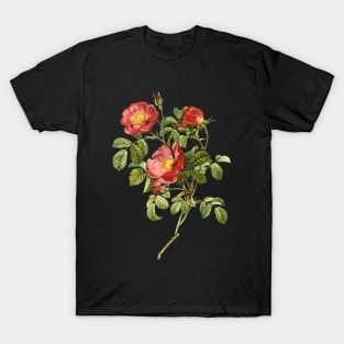 Vintage Rose T-Shirt